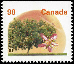 Elberta Peach - Booklet Single - PP - Perf 13.1 Canada Postage Stamp | Fruit Trees