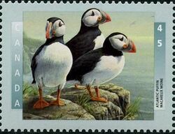 Atlantic Puffin - MF Canada Postage Stamp | Birds of Canada