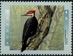 Pileated Woodpecker - MF Canada Postage Stamp | Birds of Canada