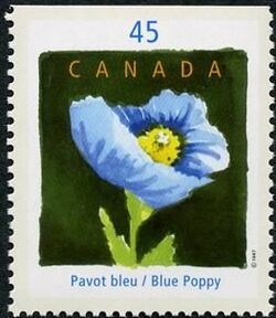 Blue Poppy - International Floral Festival - NF Canada Postage Stamp