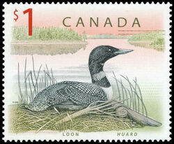Common Loon - LF Canada Postage Stamp | Canadian Wildlife