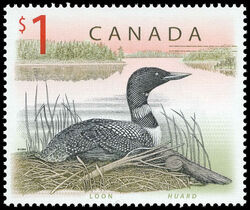 Common Loon - Coated TRC Paper Canada Postage Stamp | Canadian Wildlife
