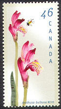 Dragon's Mouth, Arethusa Bulbosa - Stem Extends Through Bottom Perf Canada Postage Stamp | Orchids of Canada