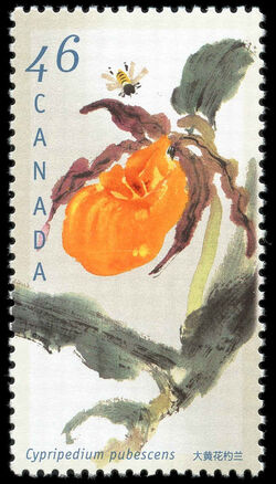 Great Yellow Lady's Slipper, Cypripedium Pubescens - Left Leaf Extends Through Left Perf Canada Postage Stamp | Orchids of Canada