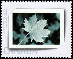 Album - Quarterly Pack Die Cut Canada Postage Stamp | Picture postage