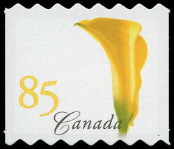 Yellow Calla Lily - Quarterly Pack Die Cut - Perf 6.45-7.05 Canada Postage Stamp | Flowers