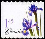 Purple Dutch Iris - Perf 6.85-7.50 Canada Postage Stamp | Flowers