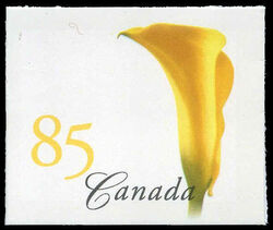 Yellow Calla Lily - Imperforate - 4mm Tagging - Fasson Paper Canada Postage Stamp | Flowers