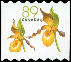 Yellow Lady's Slipper - Cypripedium Calceolus - Quarterly Pack Die Cut Canada Postage Stamp | Flowers