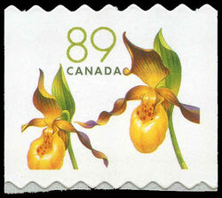 Yellow Lady's Slipper - Cypripedium Calceolus - Die Cut 7.20-9.30 Canada Postage Stamp | Flowers
