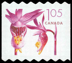 Pink Fairy Slipper - Calypso Bulbosa - Quarterly Pack Die Cut Canada Postage Stamp | Flowers