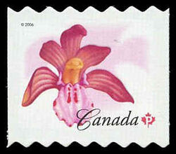 Spotted Coralroot - Quarterly Pack Die Cut Canada Postage Stamp | Flowers