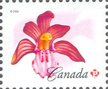 Spotted Coralroot - WA Canada Postage Stamp | Flowers
