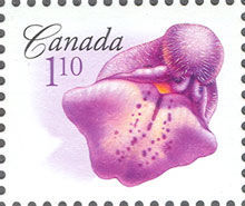 Marsh Skullcap - WA Canada Postage Stamp | Flowers