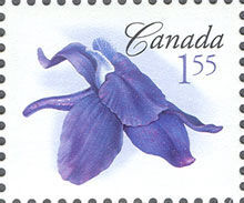 Little Larkspur - WA Canada Postage Stamp | Flowers