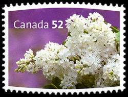 Princess Alexandra, Syringa Vulgaris - WA Canada Postage Stamp | Lilacs