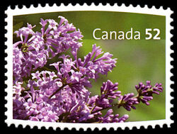 Isabella, Syringa X Prestoniae - WA Canada Postage Stamp | Lilacs