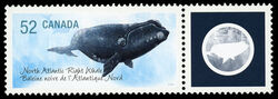 North Atlantic Right Whale - WA Canada Postage Stamp | Endangered Species