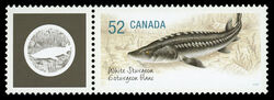 White Sturgeon - WA Canada Postage Stamp | Endangered Species