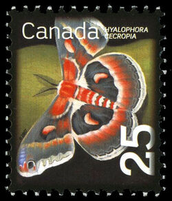Cecropia Moth - Transparent Gum - Colourless / White Canada Postage Stamp | Beneficial Insects