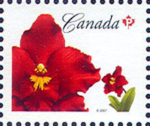 Odontioda Island Red - WA Canada Postage Stamp | Flowers