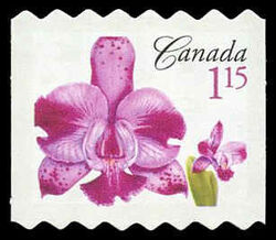 Laeliocattleya Memoria Evelyn Light - Quarterly Pack Die Cut Canada Postage Stamp | Flowers