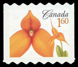 Masdevallia Kaleidoscope Conni - Quarterly Pack Die Cut Canada Postage Stamp | Flowers