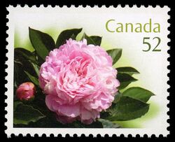 Elgin -  Canada Postage Stamp | Peonies