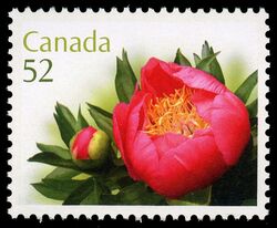Coral 'n Gold -  Canada Postage Stamp | Peonies