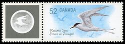 Roseate Tern - WA Canada Postage Stamp | Endangered Species