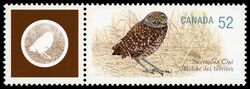 Burrowing Owl - WA Canada Postage Stamp | Endangered Species