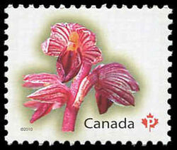 Striped Coralroot - WA Canada Postage Stamp | Flowers