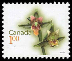 Giant Helleborine - WA Canada Postage Stamp | Flowers
