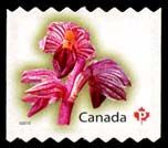 Striped Coralroot - Sawtooth Tips - Quarterly Pack Die Cut Canada Postage Stamp | Flowers