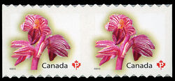Striped Coralroot - Sawtooth Tips - Pair - Imperforate Between Canada Postage Stamp | Flowers