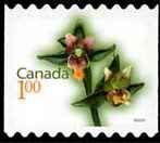 Giant Helleborine - Sawtooth Tips - Quarterly Pack Die Cut Canada Postage Stamp | Flowers