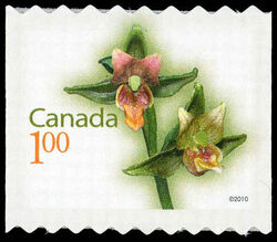 Giant Helleborine - Sawtooth Tips - Compound Die Cut One Edge Only Canada Postage Stamp | Flowers