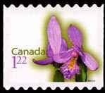 Grass Pink - Rounded Tips - Quarterly Pack Die Cut Canada Postage Stamp | Flowers