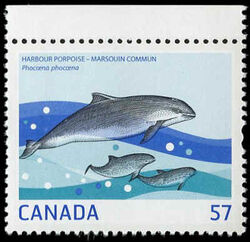Harbour Porpoise Canada Postage Stamp | Marine Life