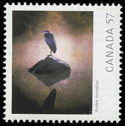 Ardea Herodias (Great Blue Heron) - WA Canada Postage Stamp | Canadian Geographic's Wildlife Photography of the Year
