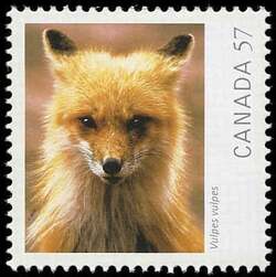 Vulpes Vulpes (Red Fox) - WA Canada Postage Stamp | Canadian Geographic's Wildlife Photography of the Year
