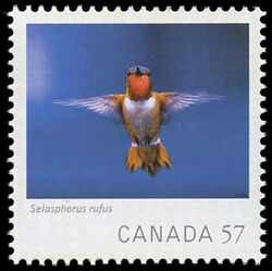 Selasphorus Rufus (Rufous Hummingbird) - WA Canada Postage Stamp | Canadian Geographic's Wildlife Photography of the Year