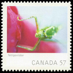 Tettigoniidae (Katydid) - Quarterly Pack Die Cut Canada Postage Stamp | Canadian Geographic's Wildlife Photography of the Year