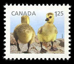 Goslings - Baby Wildlife - WA Canada Postage Stamp | Baby Wildlife - Definitives
