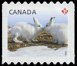 Arctic Hare - Baby Wildlife - Quarterly Pack Die Cut Canada Postage Stamp