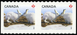 Arctic Hare - Baby Wildlife - Pair - Imperforate Between Canada Postage Stamp