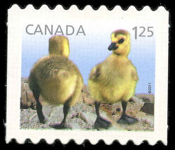 Goslings - Baby Wildlife - Quarterly Pack Die Cut Canada Postage Stamp | Baby Wildlife - Definitives
