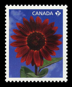 Prado Red - Sunflower - WA Canada Postage Stamp | Sunflowers