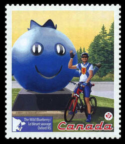 The Wild Blueberry - Oxford NS - WA Canada Postage Stamp | Roadside Attractions