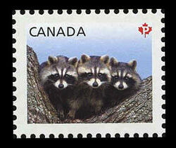 Raccoons - Baby Wildlife - WA Canada Postage Stamp | Baby Wildlife - Definitives